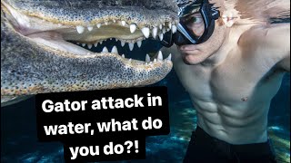 Gator Attack in water, what do you do?