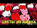 ЦВЕТЫ ИЗ  АШАНА К 8 МАРТА