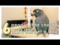 SHOULD YOU GET A BIRD? 6 TYPES OF PEOPLE THAT SHOULD NEVER GET A BIRD