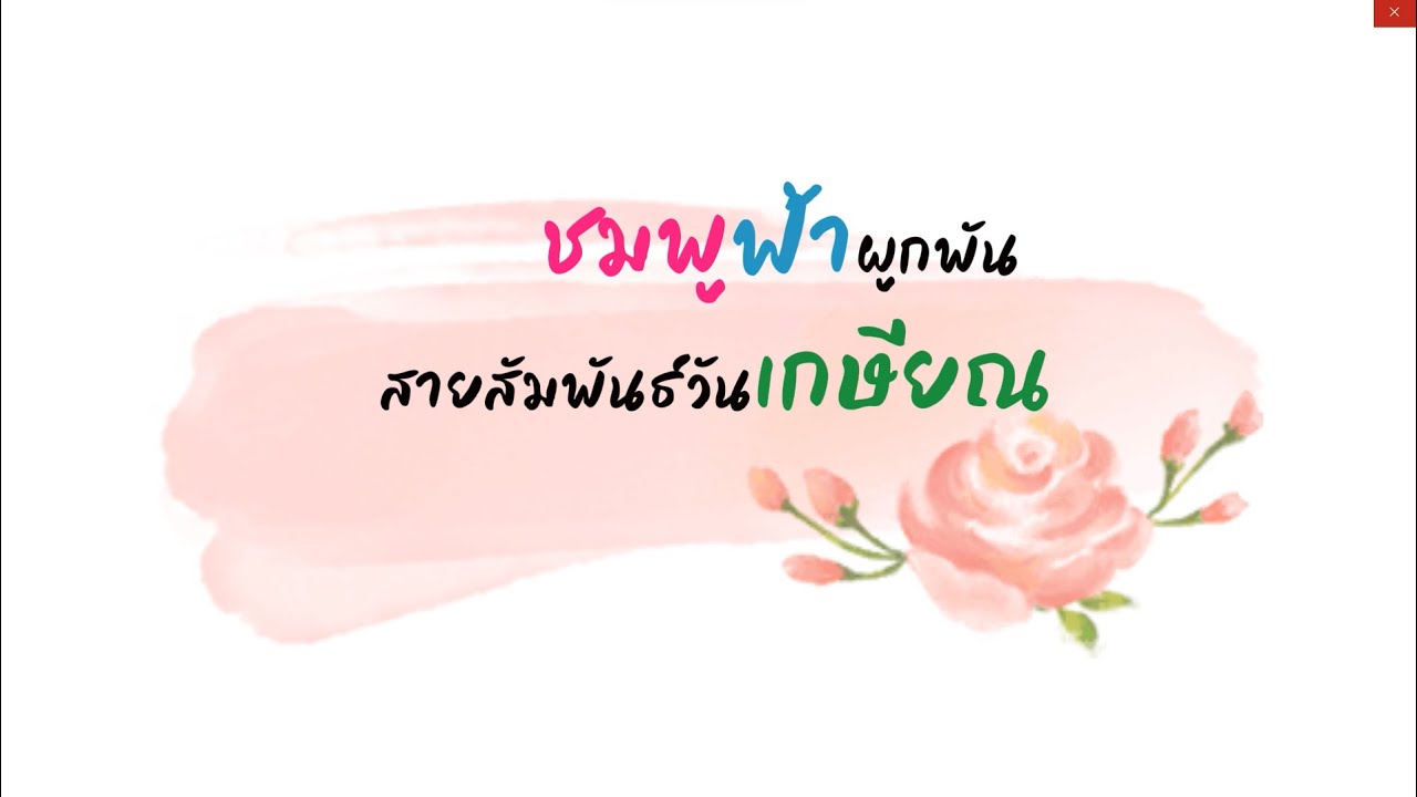 เกษียณอายุราชการ อนุบาลโซ่พิสัย 2566