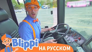 Блиппи изучает автобус | Блиппи на Русском | Изучай этот Мир вместе с Блиппи | Blippi