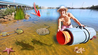 Massive SALTWATER trap gets INVADED by Fish?!