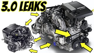 Oil and Coolant Leak locations on 3.0 Duramax   Ground Issue