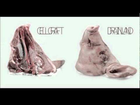Drainland / Cellgraft artwork