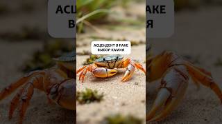 🦞Асцендент в РАКЕ: какой камень выбрать?🌊 #астрология