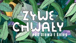 Video thumbnail of "żywe Chwały [#04] Ulewa i śnieg"