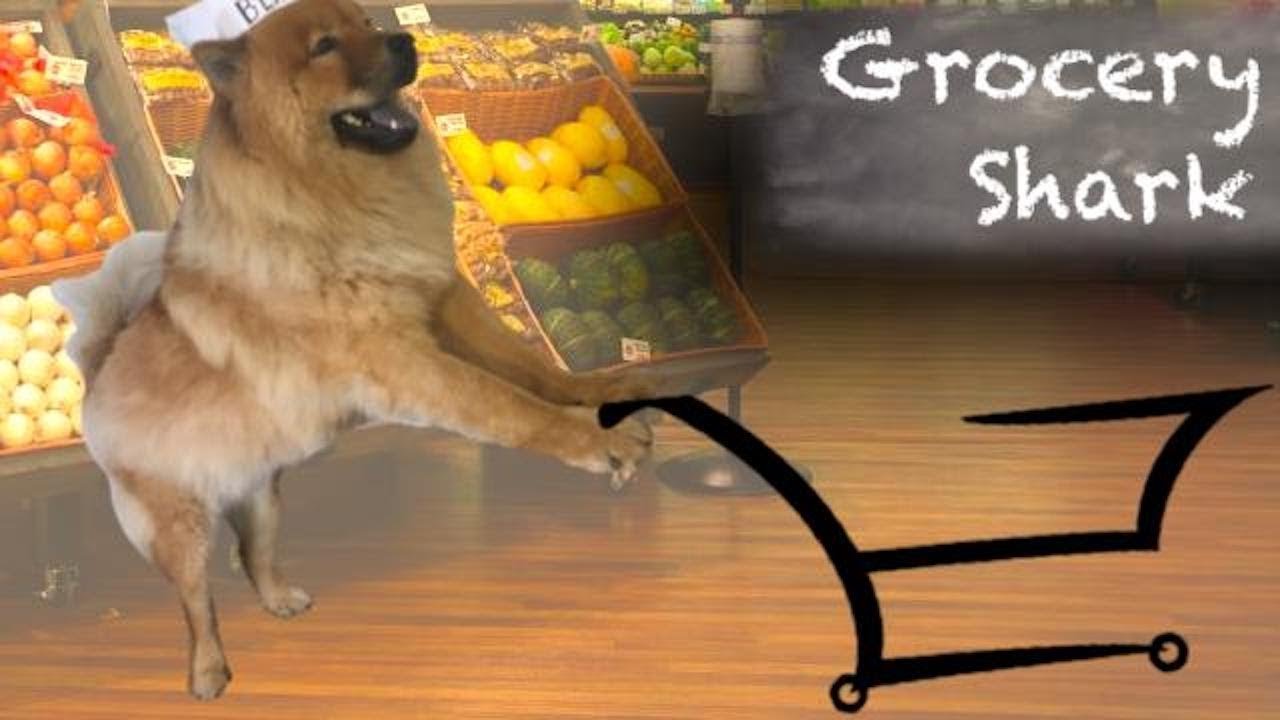 Grocery Shark Promo YouTube