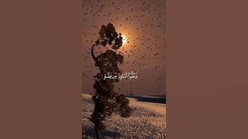 قرآن كريم بصوت جميل #قران_كريم #اكسبلور #راحة_نفسية #المصحف #quran #motivation
