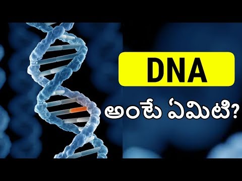 DNA In Telugu | What Is DNA In Telugu | DNA Explained With ENGLISH SUBTITLES