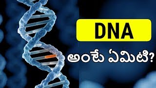 DNA in Telugu | What is DNA in Telugu | DNA Explained with ENGLISH SUBTITLES screenshot 5