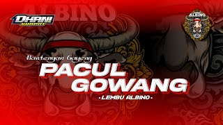 DJ BANTENGAN ‼️| Pacul gowang | LEMBU ALBINO | BY DHANI SQUAREPANT