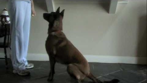 Behaviors for The Chain