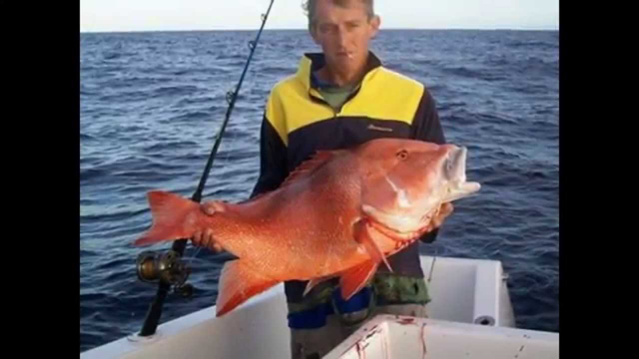 Reel Fishing 1770 Region Youtube in fishing tips 1770 intended for Current Residence Reel Fishing 1770 Region Youtube in fishing tips 1770 intended for Current Residence