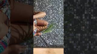 Step Outside | Glass Mosaics by Rocell