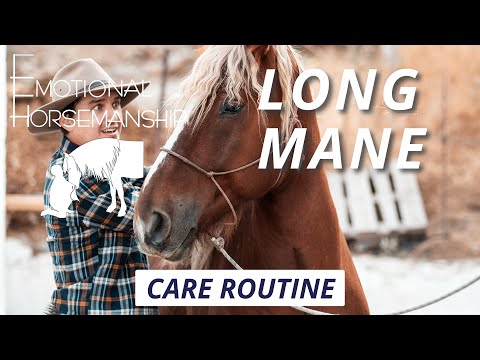 Video: Horse's mane: why is it needed and how to care for it