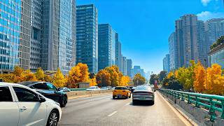 Epic Chengdu Road Trip: Driving Across West China’s Largest City (North to South!)