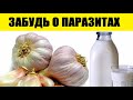 Залей Чеснок Молоком и Пей Натощак у Себя Дома. Через 7 Дней Глисты и Паразиты Вылетят...