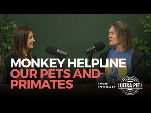ვიდეო: ვერვეტი მაიმუნები ბალახისმჭამელები არიან?