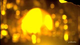 Coldplay - Life in Technicolor Live Tokyo 2009 HD