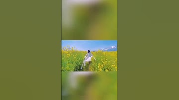 Thumbnail of The Sound Of Silence  I Harmonica