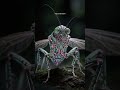 Neon Luminescent Cyborg Insect Digital Art #nature