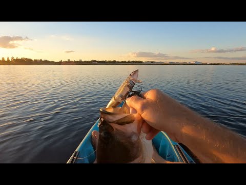 Swimbait fishing Lk Underhill.  2 consecutive nights, 2 consecutive bites with a Phat Lab Nekosogi.