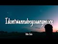 Idontwannabeyouanymore  billie eilish lyrics