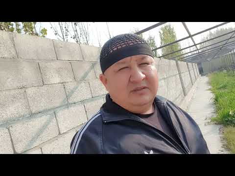 БУ ВИДЕОНИ ХАММА