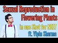 Sexual Reproduction in Flowering Plants in One Shot for NEET ft. Vipin Sharma | NCERT Biology Class