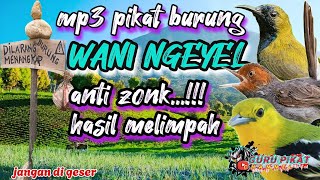 suara mp3 pikat burung anti zonk hasil melimpah