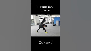 Fight Choreography #1 Feilong