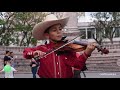 Miren como toca este niño el huapango!!! Puro Son de la Huerta desde Aguascalientes!!! Compartan!