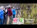 May Birding Sax-Zim Bog Virtually Live 17 S2E2 May 8 2021