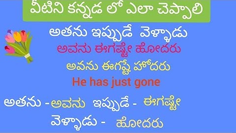 Spoken Kannada Through Telugu and English . @learnmultilanguages . #kannada #telugu #english