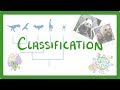 Classifying Life: Exploring the Linnaean System and Evolutionary Relationships
