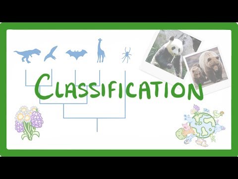 GCSE Biology - Classification  #57