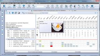 Polarity Analysis (Heiner Frei)