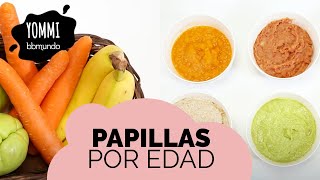 PAPILLAS fáciles, deliciosas y NUTRITIVAS para bebés POR EDAD - 6, 8 y 12 meses