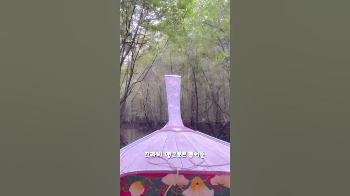 태국 끄라비 맹그로브가 섬이라는 그녀에게 아무말도 하고 싶지 않을 때#shorts