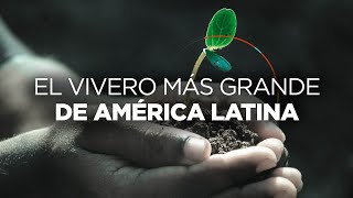 ¡El vivero más grande América Latina está en México!