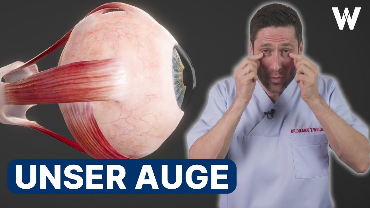 Rote Augen sind nicht immer harmlos | Marktcheck SWR