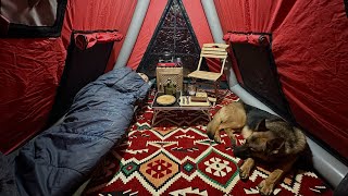CAMPING IN THE COMFORT OF HOME WITH MY DOG !