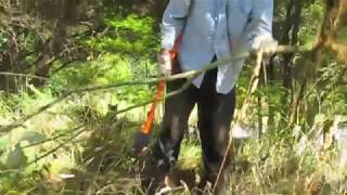 Using an Extractigator to remove Woolly Nightshade