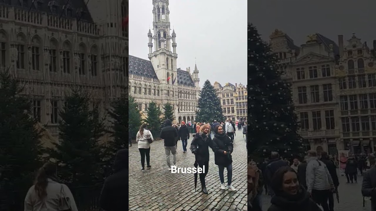 brussel city, 