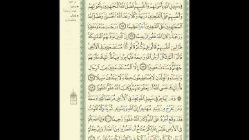 الورد اليومى.. سورة النساء من الاية 95 الى الاية 101 بصوت القارئ الشيخ ماهر المعيقلى