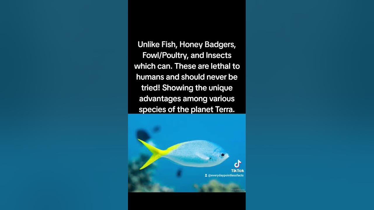 what-are-humans-allergic-to-human-homosapien-allergies-youtube