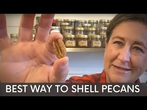 The Easiest And Best Way To Shell Pecans
