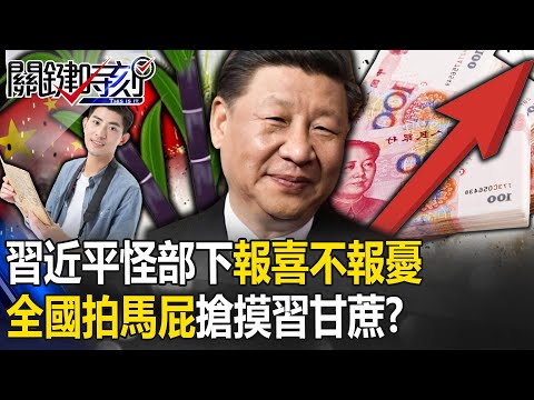 經濟愈管愈糟…習近平怪部下「報喜不報憂」！ 徹夜排隊搶摸「習甘蔗」全國都在拍馬屁！？【關鍵時刻】20231226-4 陳瑩 黃世聰 林裕豐 姚惠珍 張禹宣