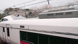 (桜が咲いたよぉ~) 特急下り、E657系10連、通過(103km/hr)。バイノーラル録音+αMk3.1