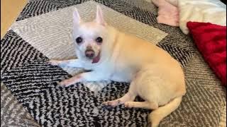 Relaxing 2018-11-08